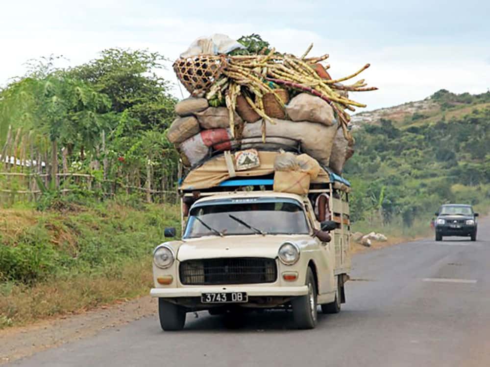 Madagaskar Reisebericht Norden Ankarana - Reiseblog Bravebird