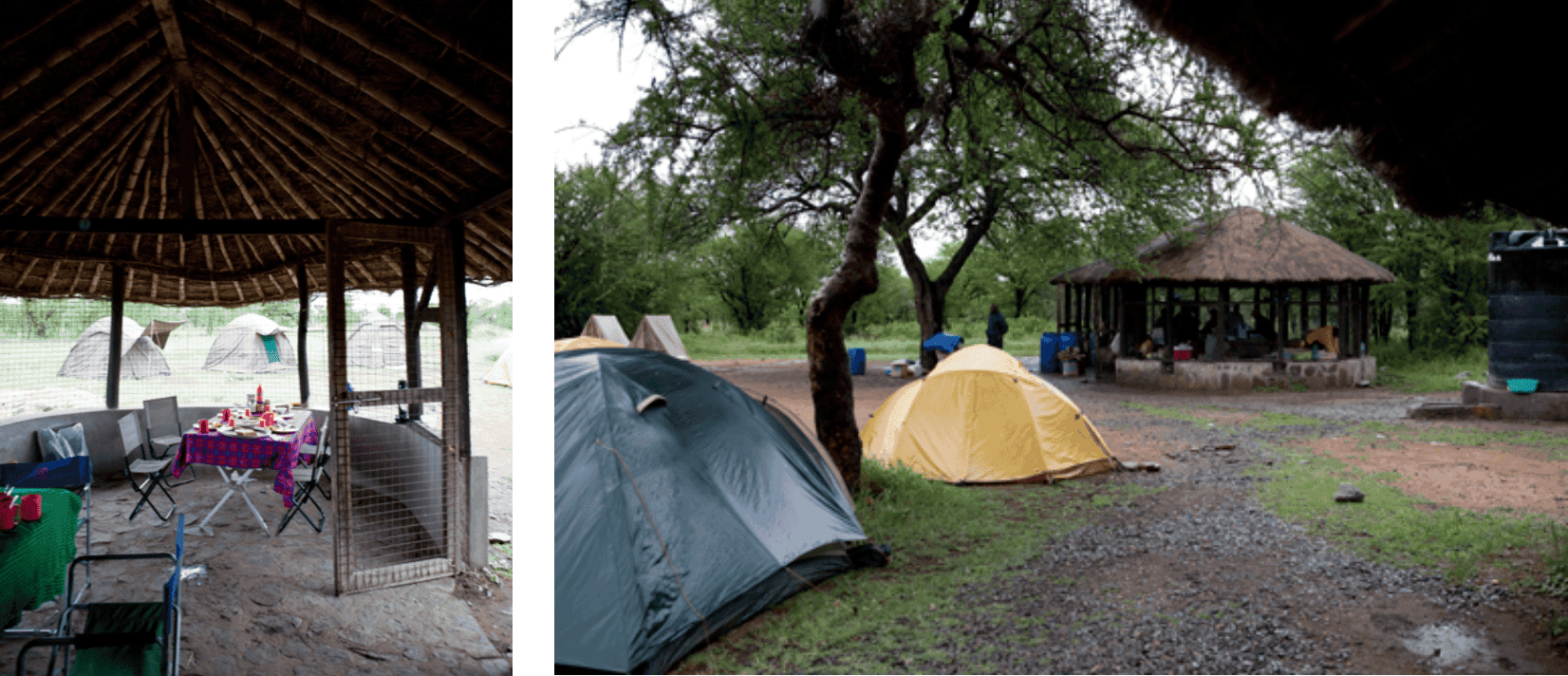 Camping Serengeti Blog