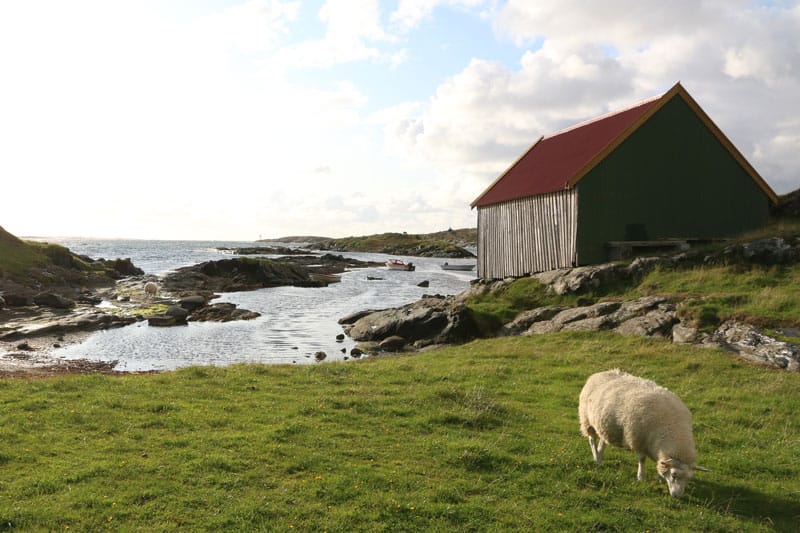 Norwegen Natur - Rundreise Roadtrip - Reiseblog Bravebird