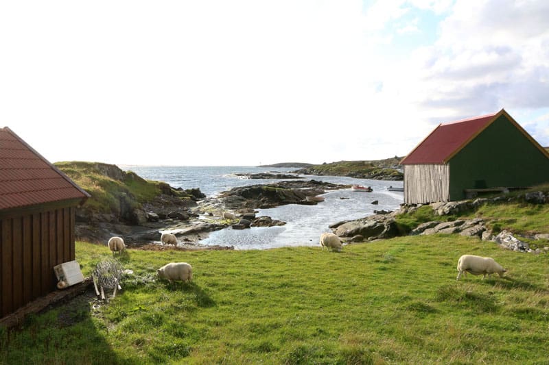 Rundreise Norwegen raue Natur - Reiseblog Bravebird