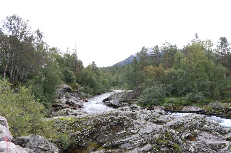 Norwegen Natur - Rundreise Roadtrip - Reiseblog Bravebird