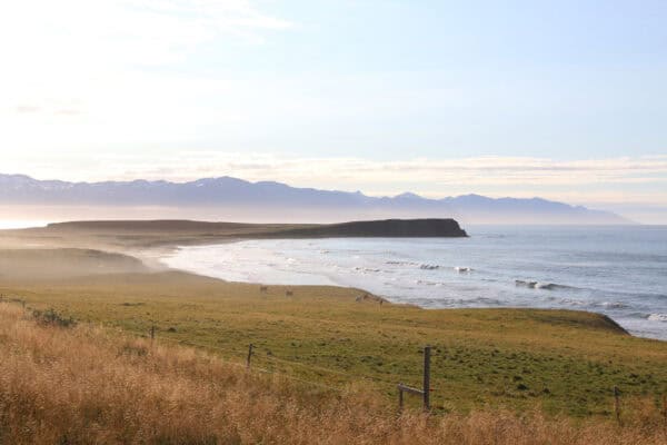 Island Ringstraße Norden - Reiseblog Bravebird