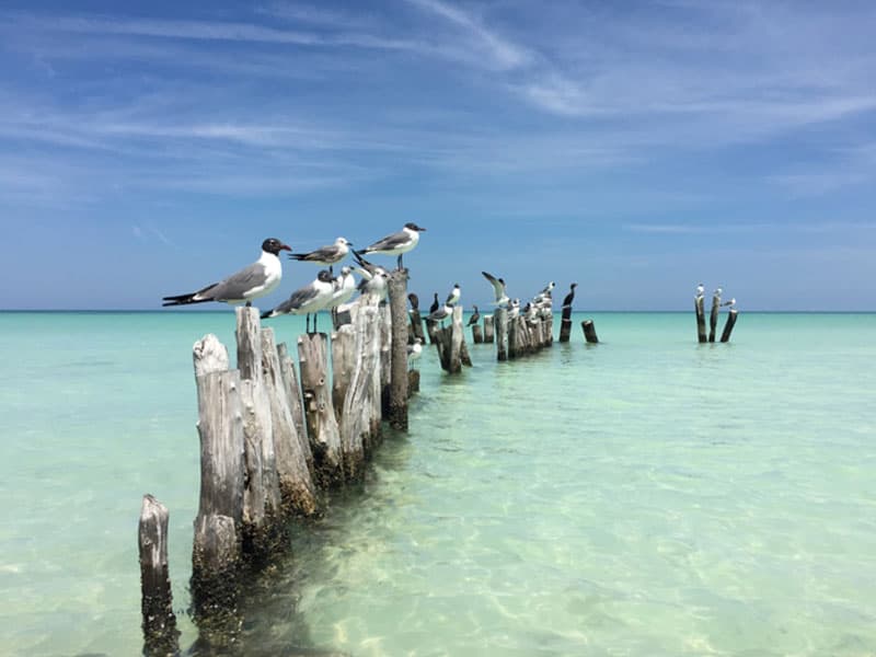 Karibik-Insel Holbox Mexiko Yucatan - Reiseblog Bravebird