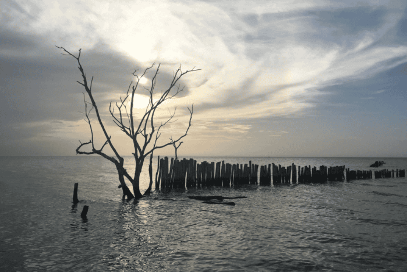 bildschirmfoto-2016-11-12-um-21-50-27