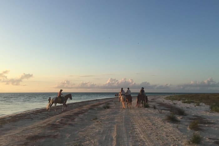 Holbox Mexiko -Reiten am Meer - Reiseblog Bravebird