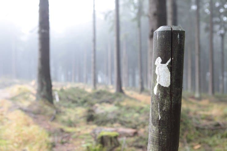 Hexenstieg Wanderung Brocken