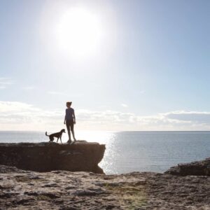 Reisen mit Hund Tipps Reiseblog Bravebird