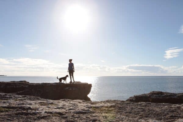 Reisen mit Hund Tipps Reiseblog Bravebird