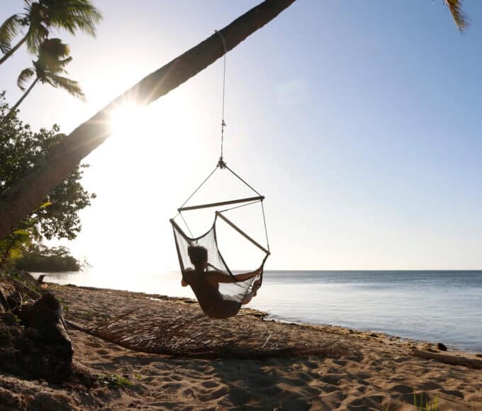 Über die Sehnsucht nach Freiheit - Bravebird