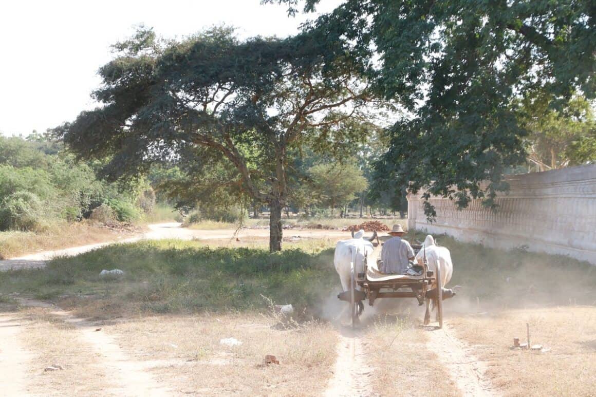 Bagan in Myanmar - Reiseblog Bravebird