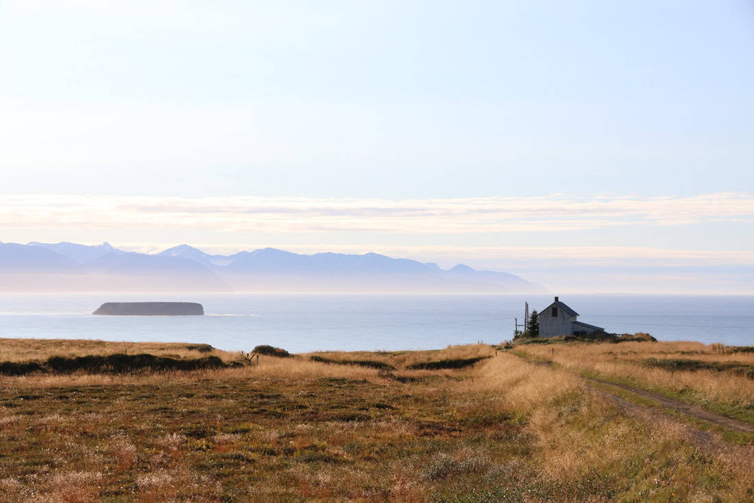 Island Ringstraße Roadtrip Reiseblog Bravebird