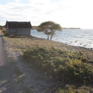 Öland in Schweden - Reiseblog Bravebird