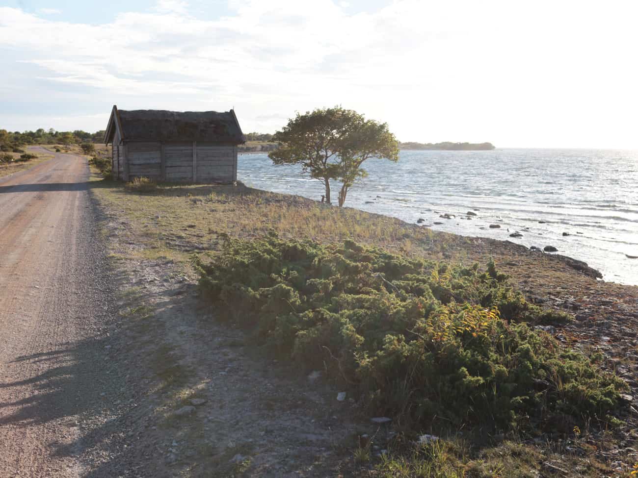 Öland in Schweden - Reiseblog Bravebird