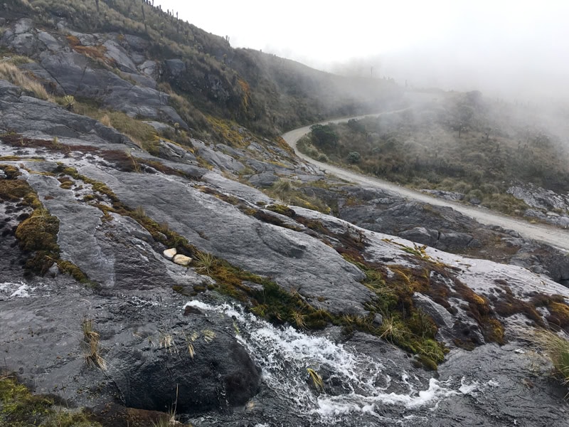 Rundreise durch Kolumbien - Parque los Nevados - Reiseblog Bravebird