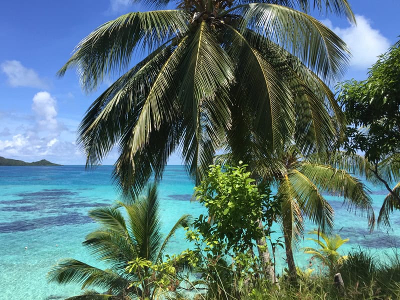 Kolumbien Traumstrand auf der Insel Providencia - Reiseblog Bravebird