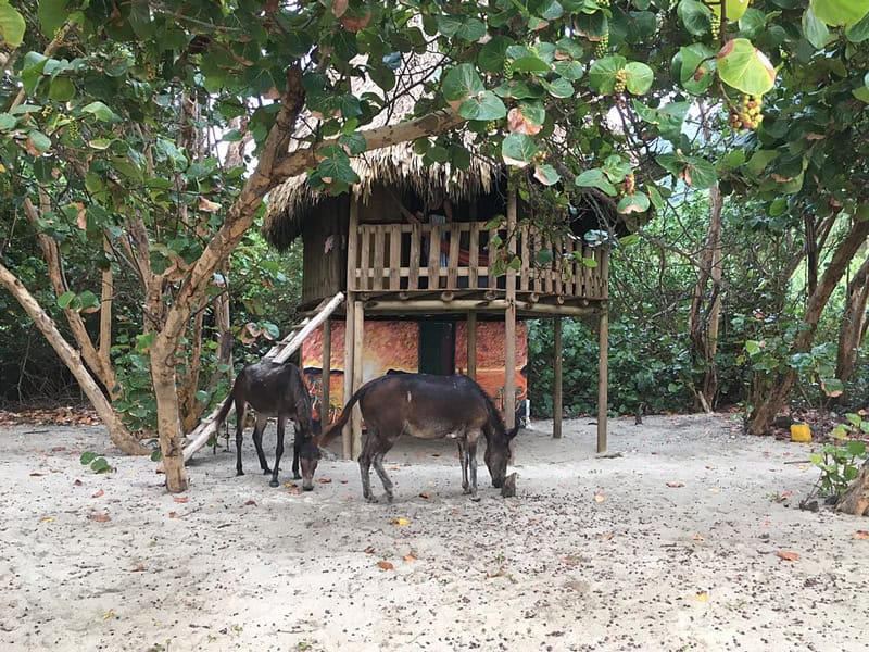 Tayrona Nationalpark - Hotel - Reiseblog BRAVEBIRD