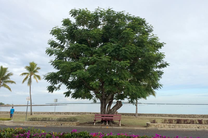 Fidschi Lautoka Strand - Reiseblog Bravebird