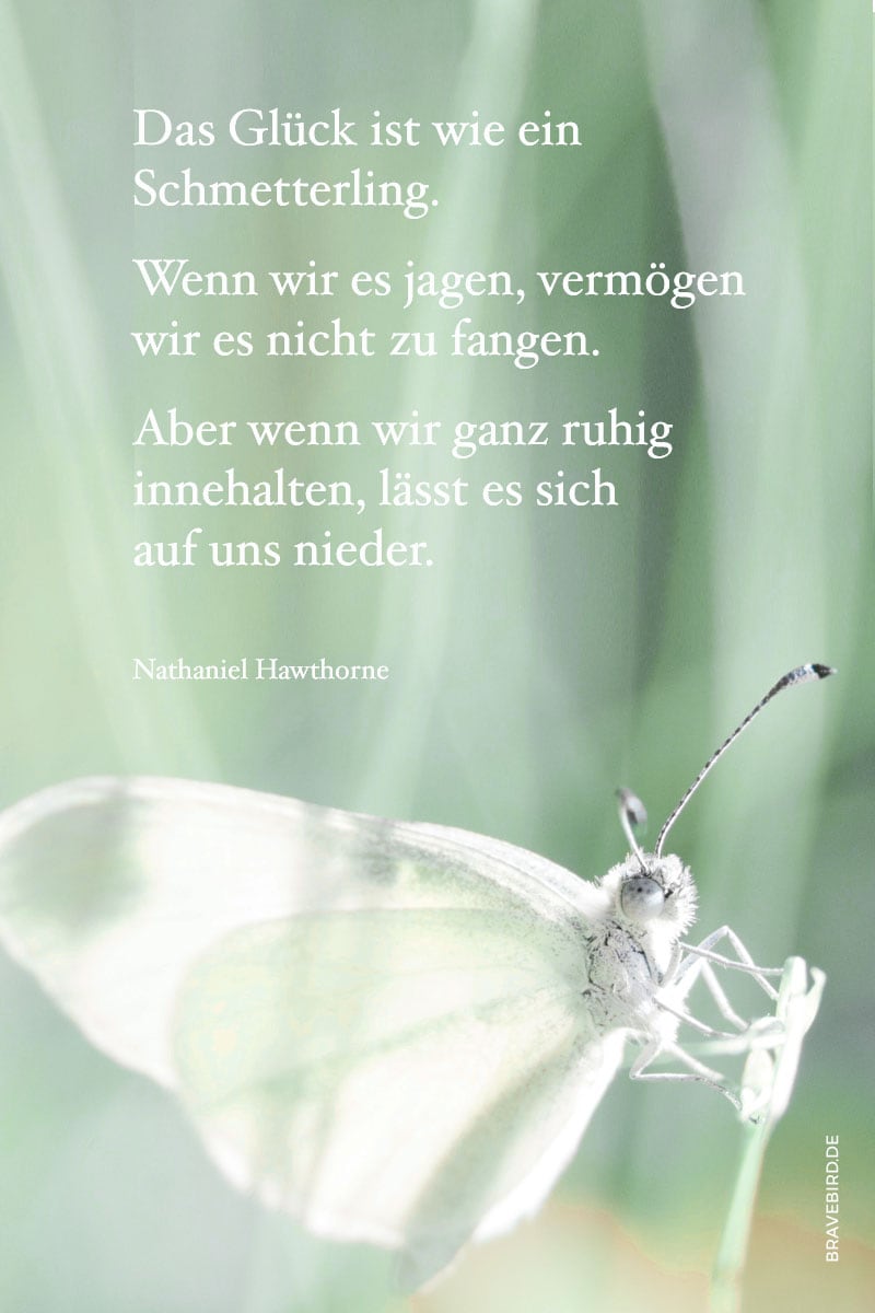 Das Glück ist wie ein Schmetterling - Reiseblog Bravebird