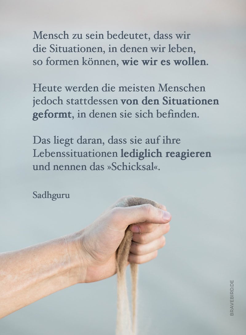 Schicksal und unser Einfluss darauf - Reiseblog Bravebird