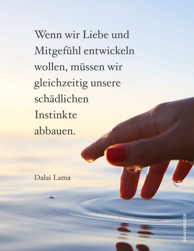 Liebe und Mitgefühl - Der Diamant der Persönlichkeit - Reiseblog Bravebird