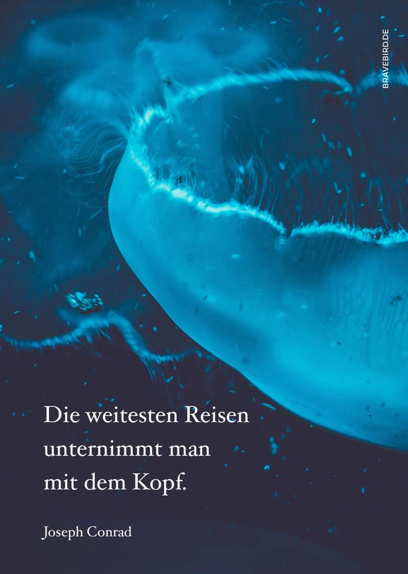 Die weitesten Reisen - Reiseblog Bravebird