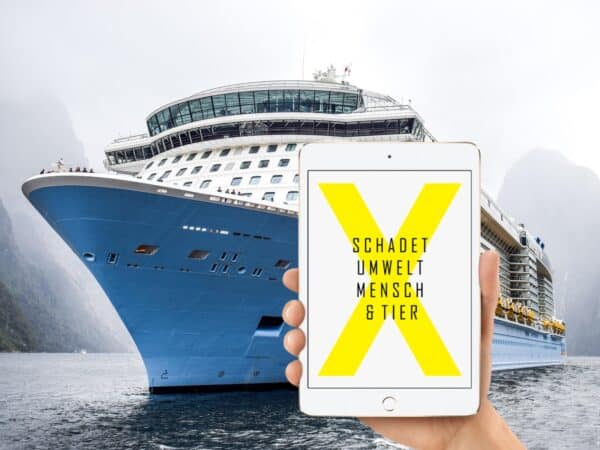 7 triftige Gründe, keine Kreuzfahrt zu buchen - schadet Umwelt, Mensch und Tier