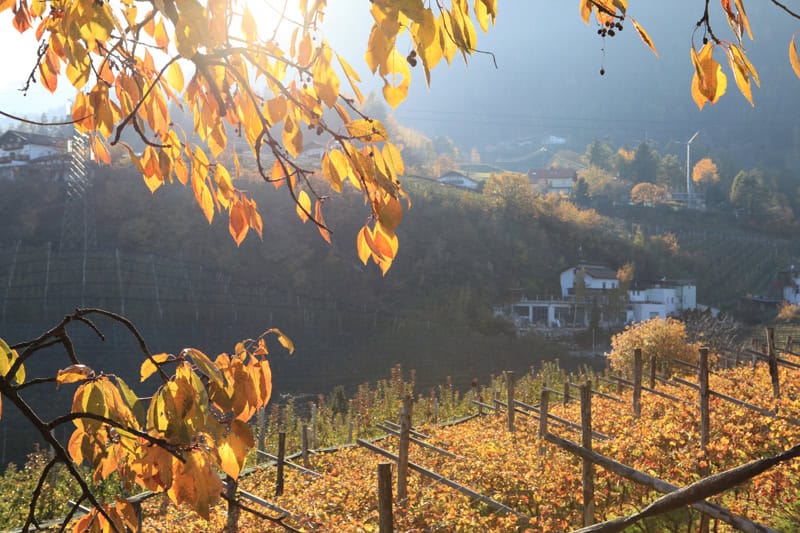 Südtirol Meraner Land - Reiseblog Bravebird