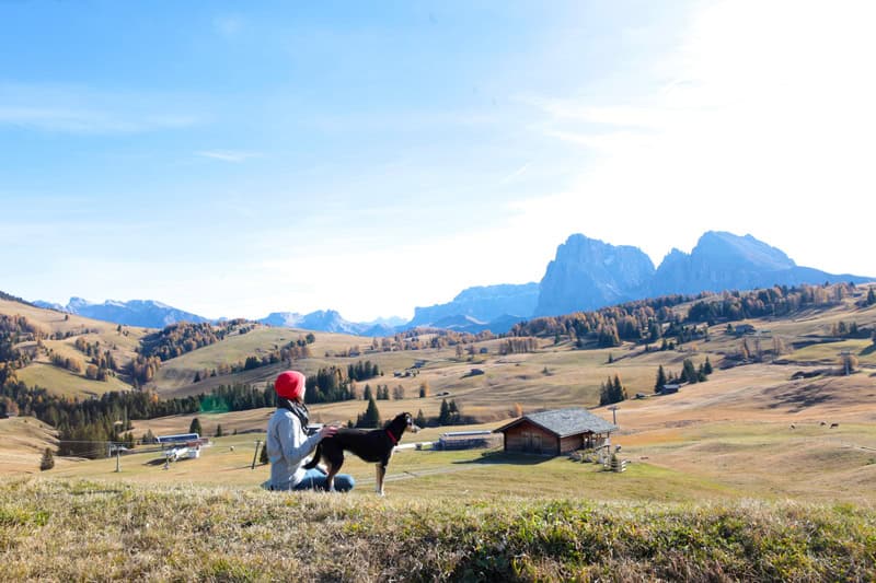 Seiser Alm Wanderung mit Hund - Südtirol Rundreise - Reiseblog Bravebird