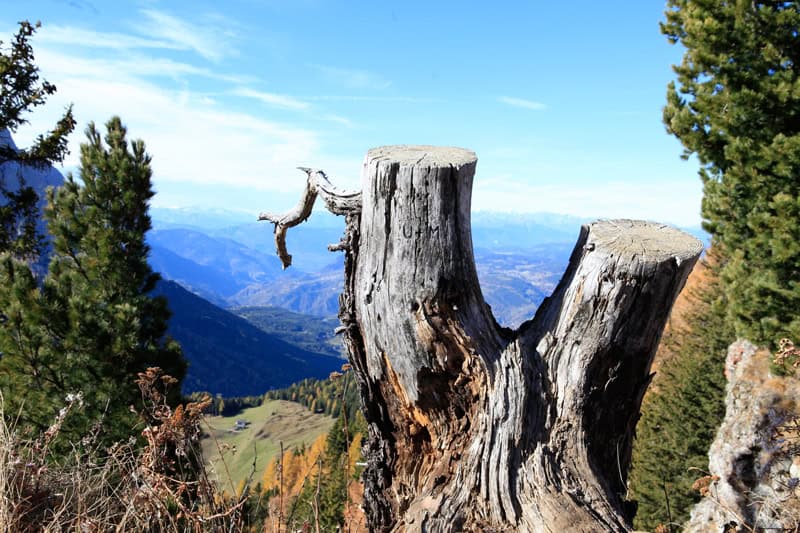 Seiser Alm Wanderung - Südtirol Rundreise - Reiseblog Bravebird