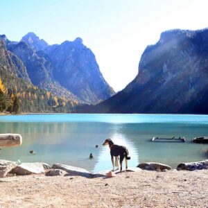 Südtirol einer der schönsten Roadtrips - Reiseblog Bravebird