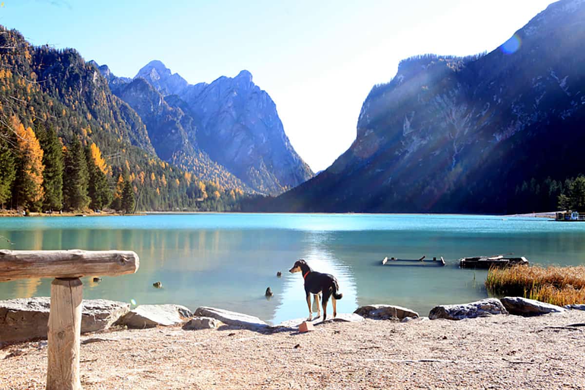 Südtirol einer der schönsten Roadtrips - Reiseblog Bravebird