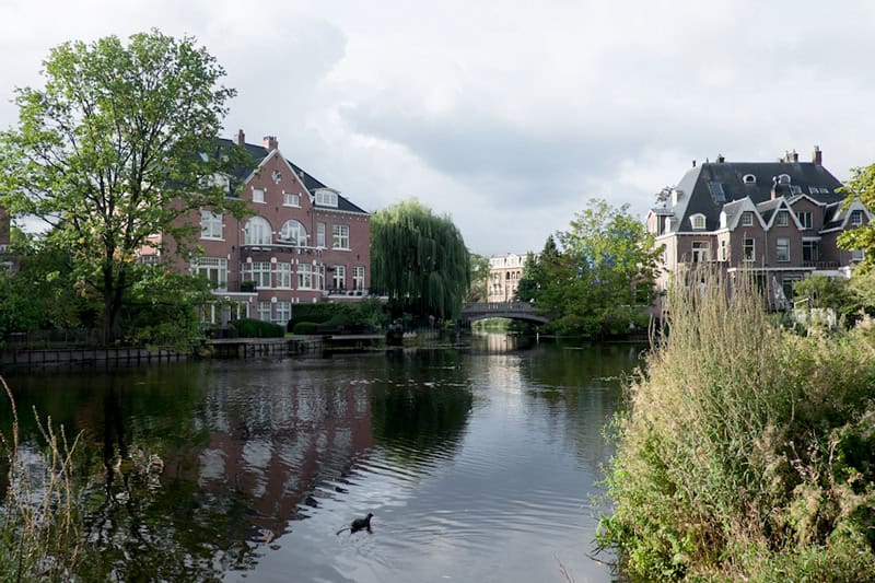 Amsterdam Vondelpark - Reiseblog Bravebird