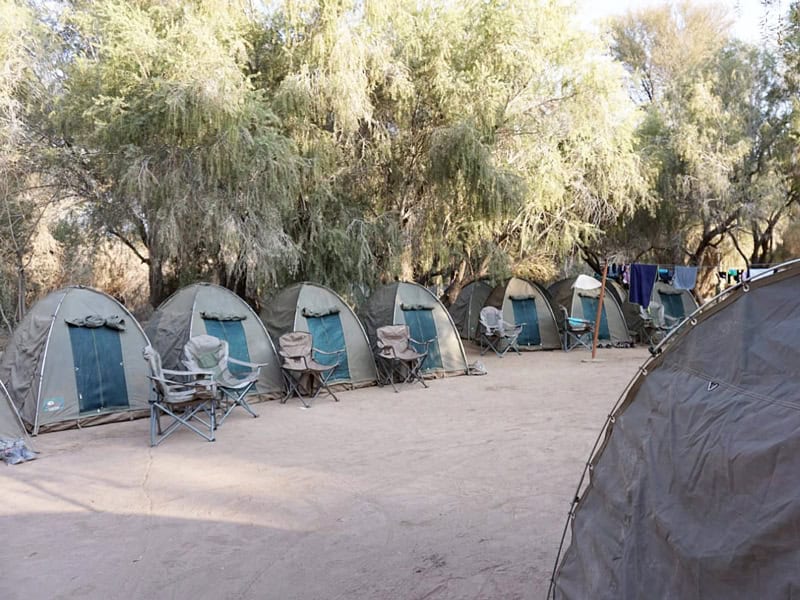 Desert Knight Adventure - Südafrika - Reiseblog Bravebird