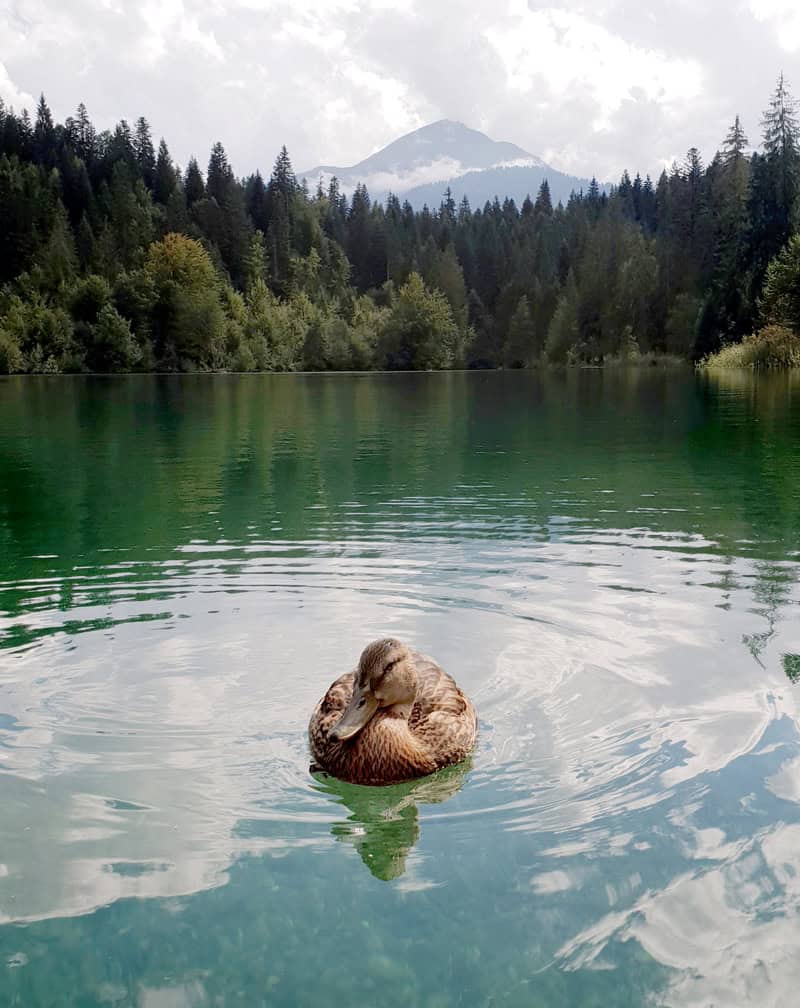 Crestasee in der Schweiz - Flims - Reiseblog Bravebird