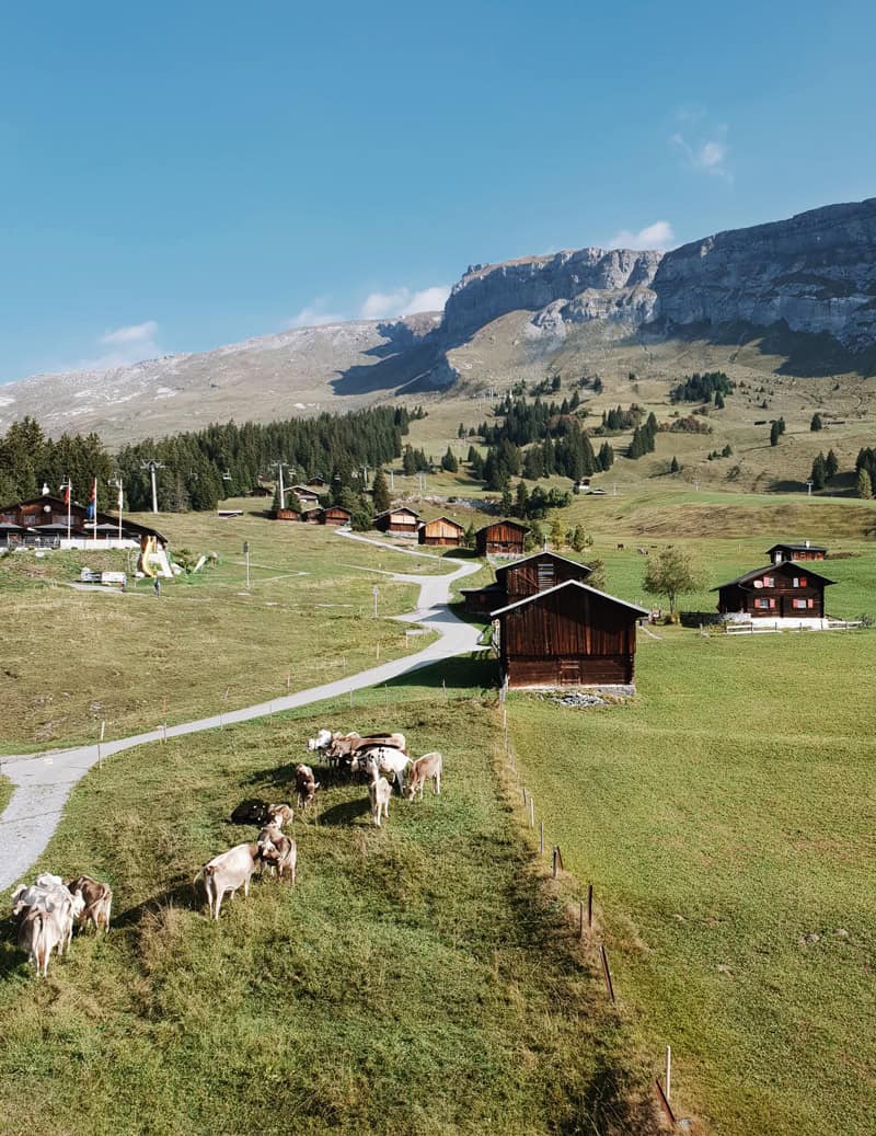 Flims Ausflug Radtour in der Schweiz - Reiseblog Bravebird