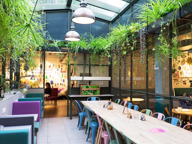 Stayokay Hostel Vondelpark - Reiseblog Bravebird