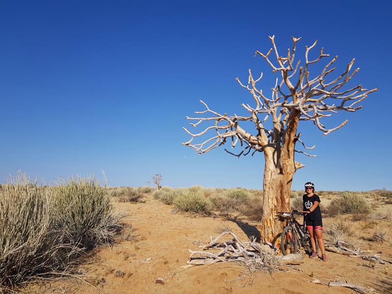 Namibia Mountainbike Tour - Mandy Müller - Reiseblog Bravebird