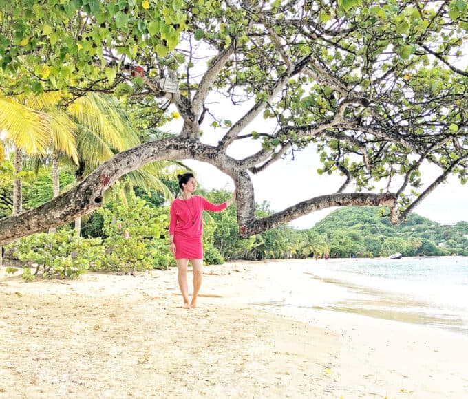 Martinique Reise nach Club Med - Reiseblog Bravebird