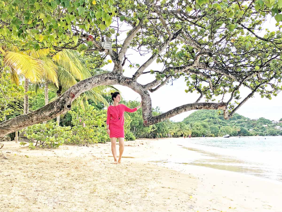 Martinique Reise nach Club Med - Reiseblog Bravebird