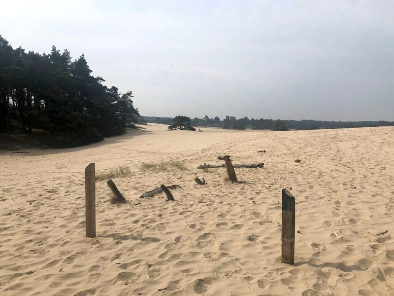 Hulshorsterzand - Dünen in Gelderland - Reiseblog Bravebird