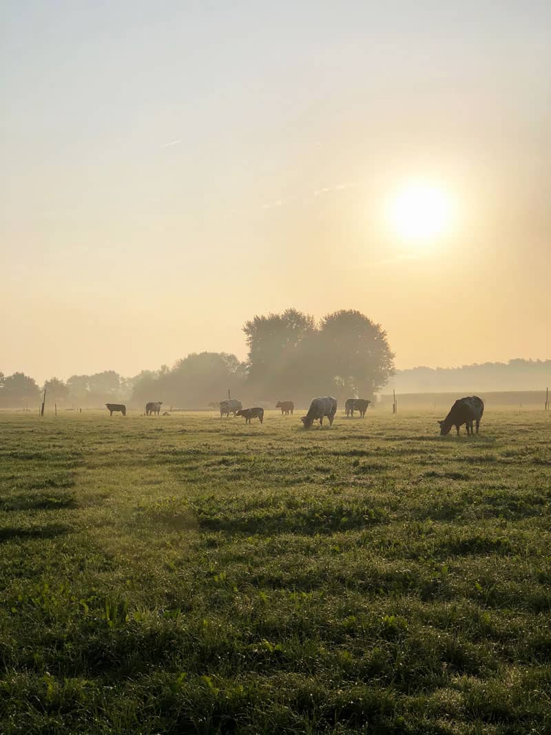 Nunspeet in Holland - Reiseblog Bravebird
