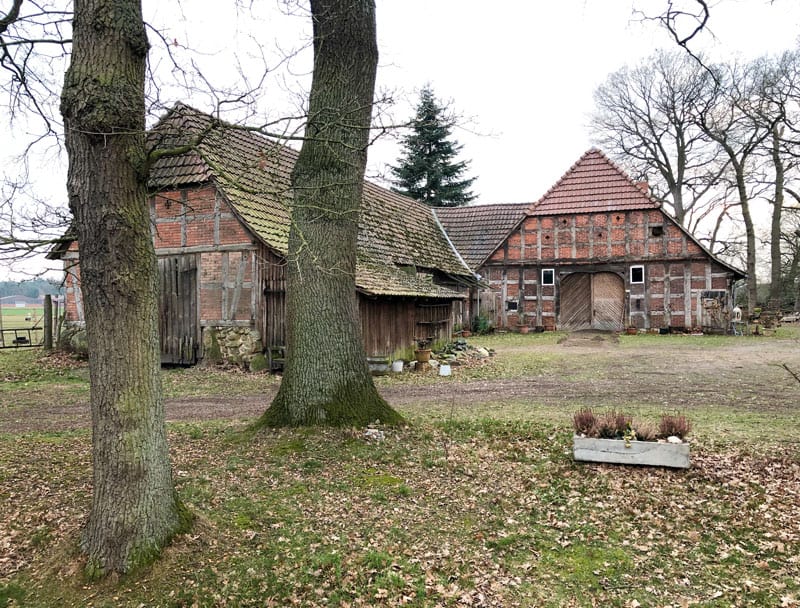 Moorgebiete - Urlaub in Niedersachsen - Reiseblog Bravebird