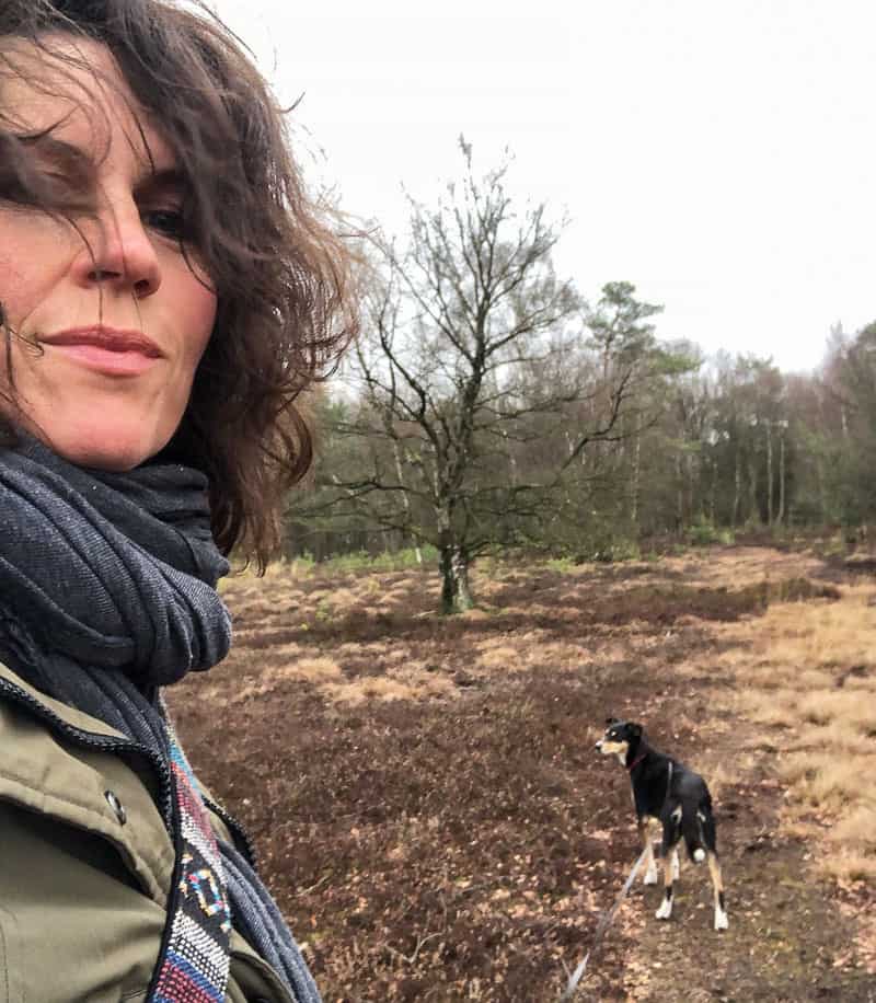 Spaziergang im Moor - Reiseblog Bravebird