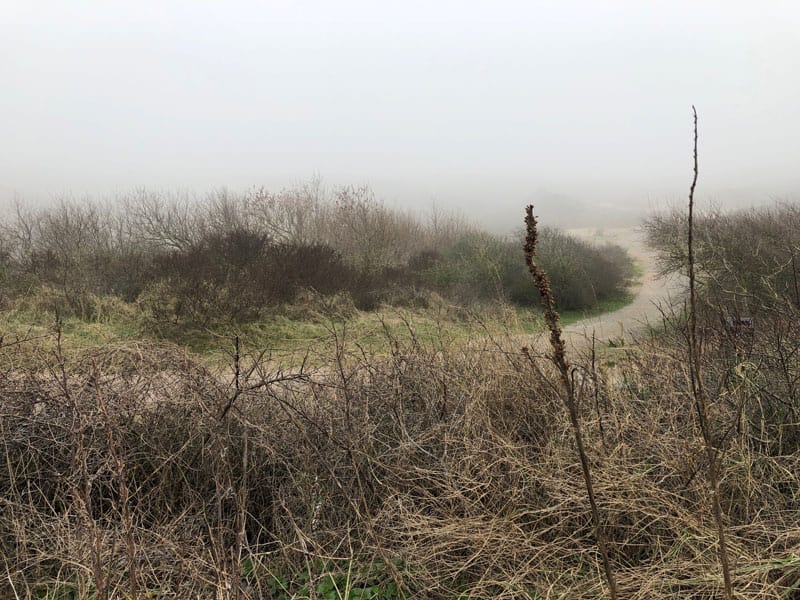 Oostduinpark Dünenpark Den Haag Scheveningen - Reiseblog Bravebird