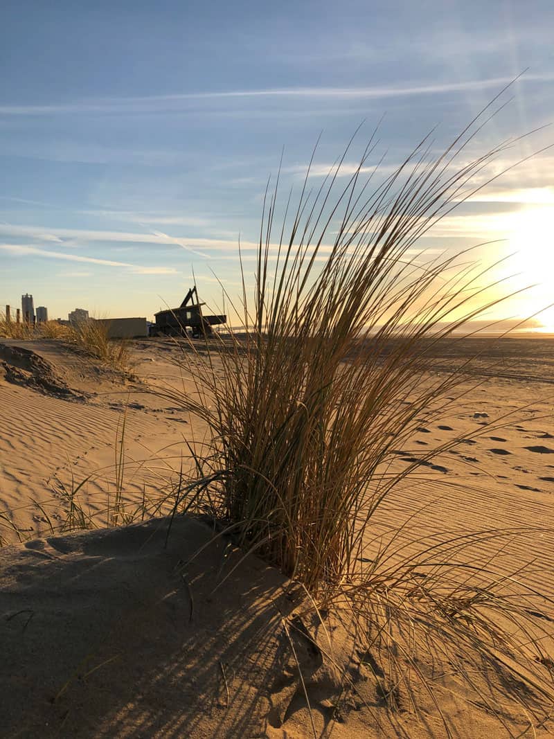 Holland Urlaub - Scheveningen Sonnenuntergang - Reiseblog Bravebird