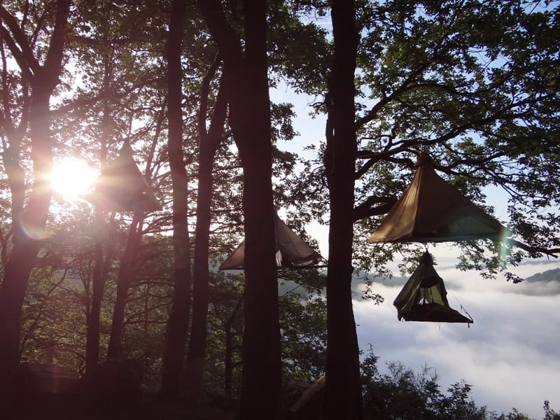 Cloefhaenger Zelten im Wald - Reiseblog Bravebird