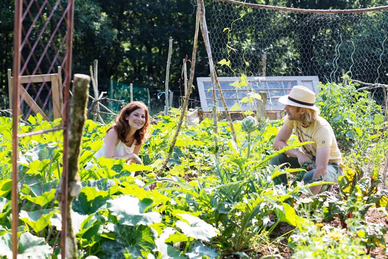 Selbst versorgen auf einem Hof in Frankreich - Reiseblog Bravebird