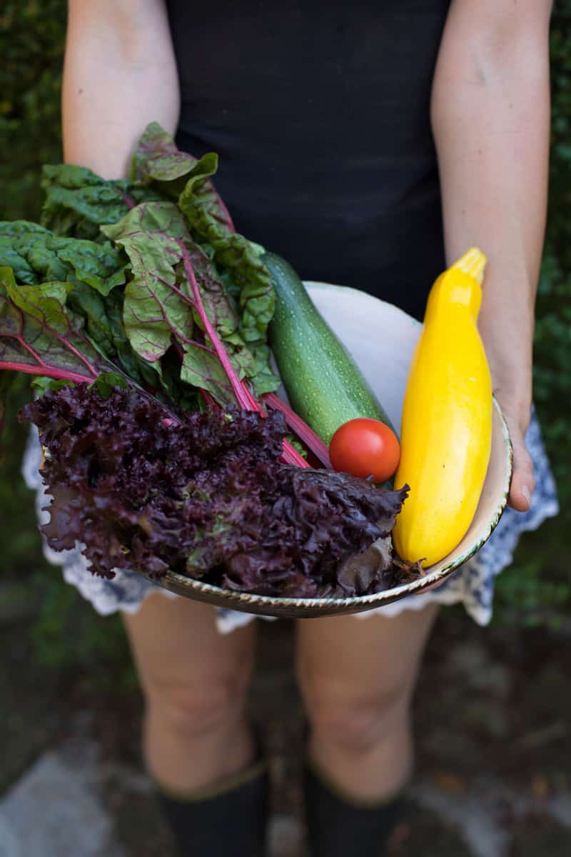 Aussteigen, Auswandern und Leben auf einem Hof in Frankreich - Reiseblog Bravebird