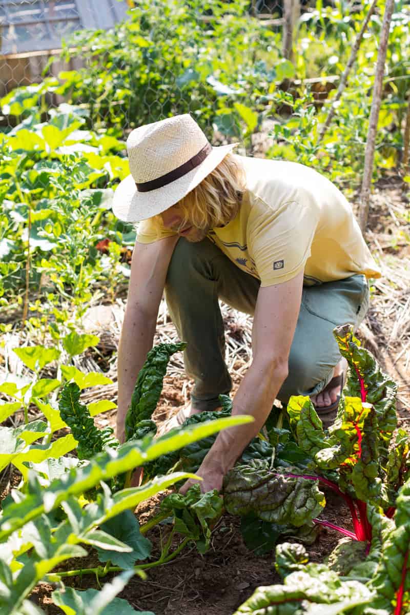 Glückliches Hühnerleben - Regine Rompa auf ihrem Hof in Frankreich - Reiseblog Bravebird
