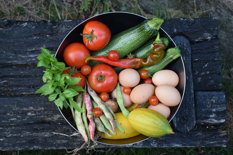 Selbst angebautes Gemüse - Regine Rompa auf ihrem Hof in der Bretagne - Reiseblog Bravebird